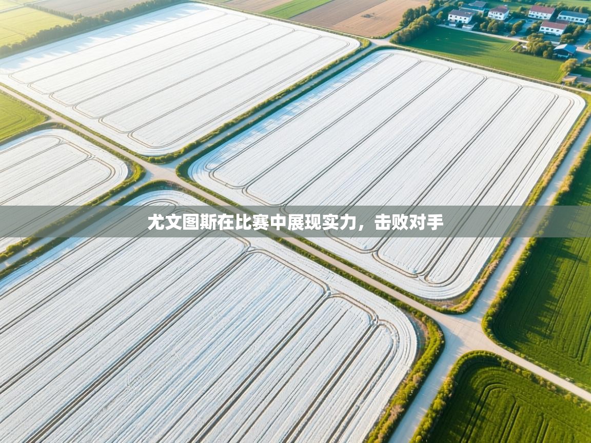 尤文图斯在比赛中展现实力，击败对手  第1张