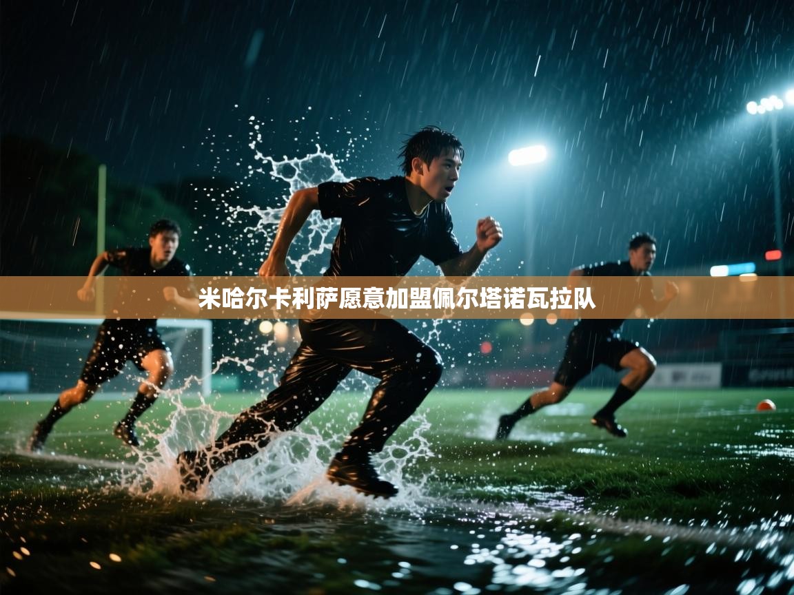 米哈尔卡利萨愿意加盟佩尔塔诺瓦拉队  第1张