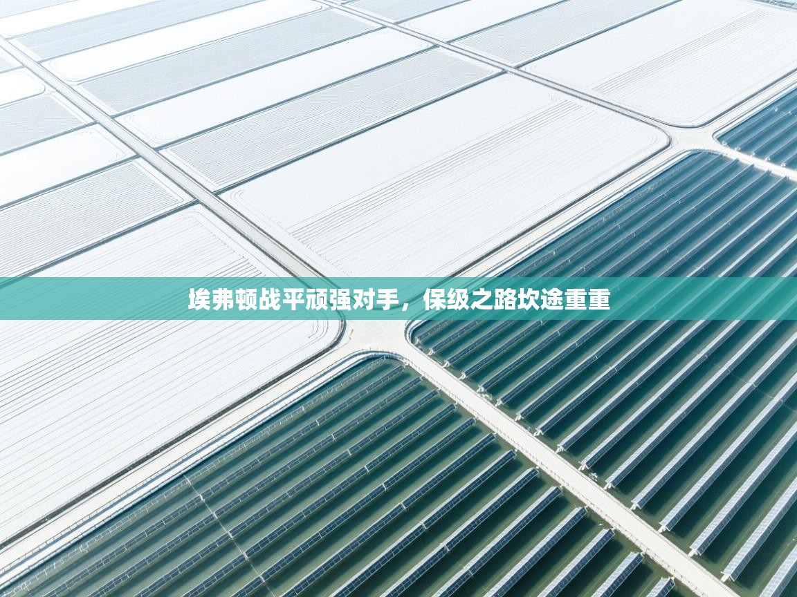 埃弗顿战平顽强对手,保级之路坎途重重 第2张