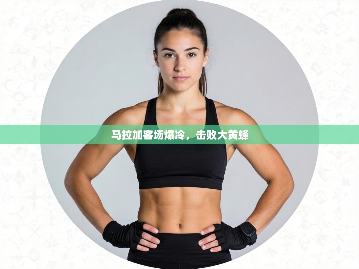 马拉加客场爆冷，击败大黄蜂  第2张